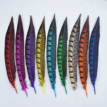 High quality 10 pieces/batch Beautiful natural pheasant tail feather, 23-28cm Diy crafts decoration 2024 - buy cheap