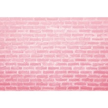 Mehofoto parede de tijolos rosa bebê festa de aniversário decoração para casa retrato fotografia backdrops foto fundos photocall photo studio 2024 - compre barato