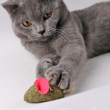 [Mpk store] brinquedo de gato bola natural catnip, sabor mentol, deleites de gato, 100% gatos comestíveis-go-crazy trata 2024 - compre barato