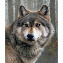 Pintura de diamante redondo/cuadrado, cuadro de lobo en el bosque, punto de cruz, bordado, decoración del hogar 2024 - compra barato
