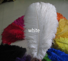 Wholesale 10pcs / lot Beautiful white ostrich feathers feather length 14-16 inches / 35-40 cm 2024 - buy cheap