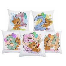 45*45cm Cartoon Cute Bear Cushion Cover Short Plush Throw Pillow Home Decorative Square Printing Cojines 2024 - buy cheap