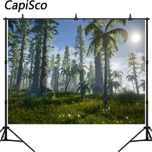 Capisco 3D Cartoon Dinosaur Forest Photography Backgrounds Customized Photographic Backdrops For Photo Studio 2024 - buy cheap