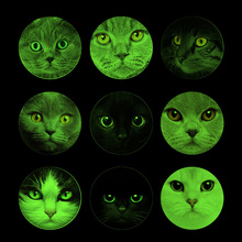 glow in the dark Glass Cabochon 20-30mm Cat Face Photo Cameo Cabochon Setting Supplies for Jewelry Accessories diy handmade 2024 - buy cheap