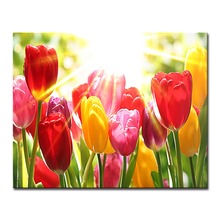Oil Painting By Numbers DIY Kits Colors Drawing Digit Sunshine Tulip On Canvas Home Decoration Wall Art Abstract Flower Pictures 2024 - buy cheap