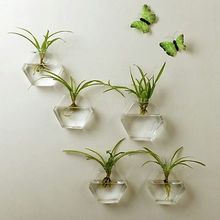 Подвесная стеклянная ваза цветочный горшок Террариум контейнер домашний садовый декор 2024 - купить недорого