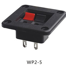 Speaker terminal,2 pins WP2-5 2024 - купить недорого