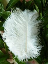 Sell high quality 100pcs / lot  white ostrich feather 8-10 "/ 20-25cm, DIY jewelry accessories / Custom Colors 2024 - buy cheap