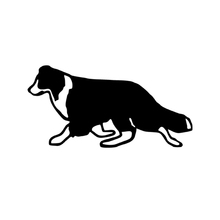 Скотланд бордер колли собака виниловая графическая Наклейка для автомобиля грузовик окно бампер ноутбук шкафчик glassmarciais 2024 - купить недорого