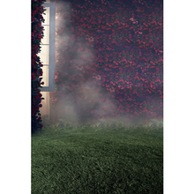 Impresión Digital rojo rosa fondos de fotografía de pared medio abierto ventana niebla romántica foto de boda Fondo de estudio suelo verde 2024 - compra barato