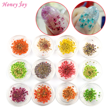 12bottles 3D Real Dried Dry Flower Nail Art Decoration UV Gel Nails Stickers Nails Manicure Tips Decals with 12 Different Colors 2024 - buy cheap