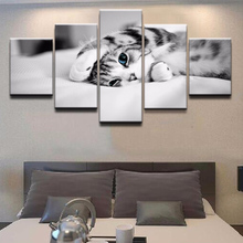 Home Decoration Posters Frame Living Room Wall Art 5 PiecePcs Lovely Animal Cat Modern Painting On Canvas Pictures HD Printed 2024 - buy cheap