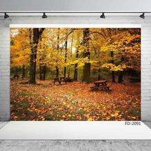 Виниловый фон для фотосъемки с изображением упавших листьев леса скамейки для детской свадебной фотосъемки 2024 - купить недорого