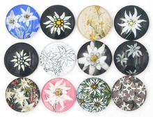 24 Uds. DIY broche de joyería intercambiable cabujón Flor de cristal Edelweiss botones para Snap Bracelet Jewelry Bijoux Schmucksachen 2024 - compra barato