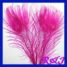 Frete Grátis! 50 pçs/lote 25-30 cm 10-12 "Top qualidade Fuchsia Hot pink penas de pavão coloridas plumas plumagem 2024 - compre barato