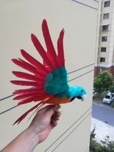 cute simulation blue&red parrot model foam & feathers spreading wings parrot bird model about 30x45cm 2024 - buy cheap