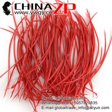 CHINAZP Factory Wholesale 300pcs/lot Size 20-25cm Fantastic DIY Decoration Watermelon Red Stripped Goose Biots Loose Feathers 2024 - buy cheap