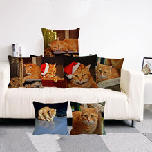 XUNYU-funda de cojín de lino para sofá, cubierta decorativa con diseño de gato naranja y mascota bonita, 45cm x 45cm, C001 2024 - compra barato
