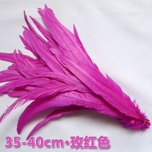 Wholesale Fuchsia/hot pink Rooster tail Feathers 100pcs 35-40cm 14-16 inches chicken feathers coque Feather  Free Shipping 2024 - buy cheap