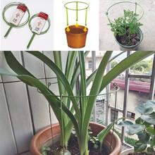 5Pcs Plant Support Cages Durable Climbing Garden Trellis Flowers Stand Adjustable Ring Garden Stakes Gardening Tool Cage 28-43CM 2024 - buy cheap
