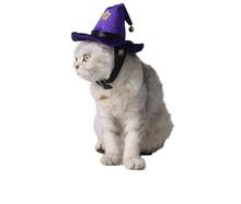 Крутой волшебный костюм на Хэллоуин, Черный кот, собака, накидка для косплея, шали, накидка на Хэллоуин, день рождения, товары для домашних животных 2024 - купить недорого