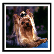 Pintura de diamante de pintura completa de diamante quadrado bordado de animais cães imagens redondas de strass 125dd 2024 - compre barato