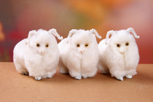 simulation mini sheep 8x7cm fur white sheep toy hard model one lot / 3 pieces home decoration Christmas gift h1185 2024 - buy cheap