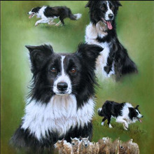 5D Diy Diamond Embroidery Border Collie Sheep Mosaic Full Square round Cross Stitch Diamond Painting Cute puppy dog sale decor 2024 - buy cheap