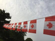 9m long Canada 14*21cm bunting flags Canada pennant decoration flag each set 30pcs flag hanging 2024 - buy cheap