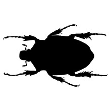 15.9*9.5CM Scarab Beetle Insect Vinyl Car Styling Creative Car Sticker And Decals Accessories Black/Silver C9-1731 2024 - buy cheap