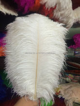 Hot Sale 10PCS Ostrich Feather 40-45 cm Wedding Decoration Party Plumage Decorative Celebration white Free Shipping 2024 - buy cheap