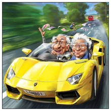 Full Square/Round Drill 5D DIY Diamond Painting "Old couple on the car"3D Embroidery Cross Stitch Mosaic Rhinestone Decor WG641 2024 - buy cheap