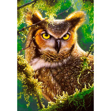 5D DIY Full Square Round Diamond Embroidery -Green grass owl- Cross Stitch Rhinestone Mosaic Decor Kids puzzle handmade 2024 - buy cheap