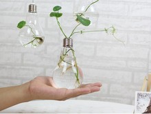 Прозрачная лампа форма подставка стеклянная Цветочная ваза для растений гидропоники контейнер для дома и офиса свадебное украшение 2024 - купить недорого