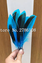 Hot! 100 pcs 10-15cm quality natural turquoise  Pheasant feathers, duck feather diy jewelry decoration 2024 - buy cheap