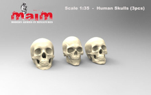 Figura de resina sem pintura, crânios humanos, 3 peças, coleção, escala 1/35 2024 - compre barato