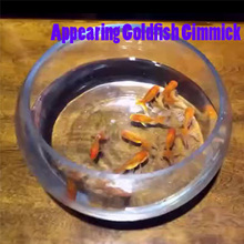 Appearing Goldfish Gimmick ( Metal ) Magic Tricks Fun Stage Magia Mentalism Gimmick Props Appear Fish Magie Illusion Magic Fish 2024 - buy cheap