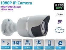 New type1920*1080P H.265 2.0 Megapixel ONVIF  HD 1080P IP Camera P2P Warterproof outdoor IR-CUT Night Vision Network Camera 2024 - buy cheap