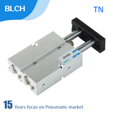 BLCH TN Cylinder Twin-rod Pneumatic Cylinder 10/16/20/25/32/40mm Bore 10/30/60/90-150mm Stroke double Acting piston Air Cylinder 2024 - buy cheap