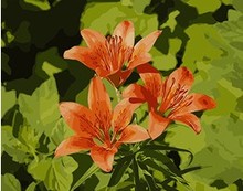 MaHuaf-W209 lily flowers DIY oil painting by numbers Hand Painted Framed Acrylic Picture coloring by numbers on canvas 2024 - buy cheap