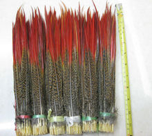 Plumas de faisán doradas, puntas rojas, 10-12 pulgadas (25-30cm) de largo, 50 Uds. Por lote, plumas de faisán doradas con punta Roja, pluma Decoración 2024 - compra barato