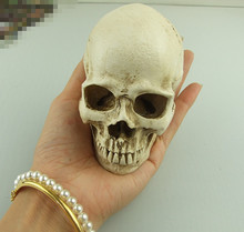 small size Human skull model resin skull model art special specimen copy model skeleton model 2024 - buy cheap