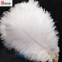 natural Hard rod 10 pcs/lot White Ostrich Feathers 30-35cm / 12-14 inches Wedding decoration Birthday Christmas ostrich plume 2024 - buy cheap