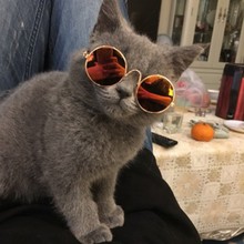 1 шт., милые очки для кошек, очки для собак, солнцезащитные очки для маленьких собак, кошачий глаз, солнцезащитные очки для собак, фотографии, товары для домашних животных 2024 - купить недорого