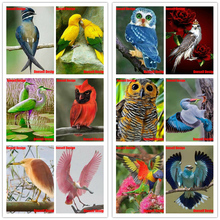 Full Drill Square Diamond Painting Full Square Cute Bird DIY Diamond  Mosaic 5D diamond embroidery Full Set diamond mosaic Sale 2024 - buy cheap