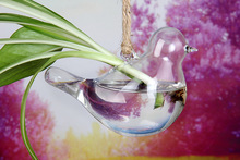 1 шт. прозрачная стеклянная ваза для птиц бутылка Террариум гидропонный контейнерный горшок цветок сделай сам стол Свадебный садовый декор LD 153 2024 - купить недорого