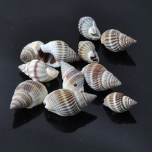 20-30mm Natural Spiral Shell Loose Beads for jewelry making DIY 40pcs TRS0043 2024 - buy cheap