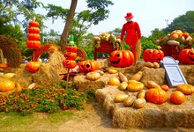 Halloween Photography Backdrops Straw Heap Pumpkins Harvest Backgrounds for Photo Studio Children and Kids Photophone Customized 2024 - buy cheap