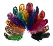 100pcs 6-10cm Pheasant Feather Tails Tail Feathers Fan For Craft Sewing Apparel Wedding Party Home Decoration 2024 - buy cheap