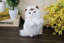 about 18x14cm raise-up paws cat model ,polyethylene&real furs handicraft Figurines & Miniatures decoration toy gift a2968 2024 - buy cheap